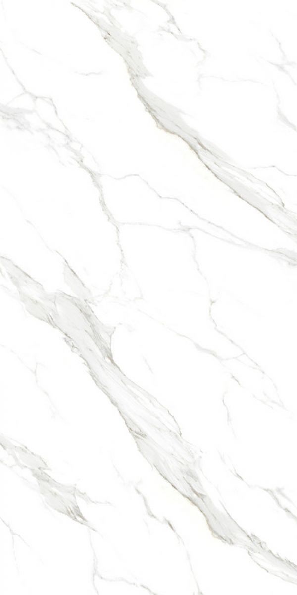 W1PK26AG產(chǎn)品圖